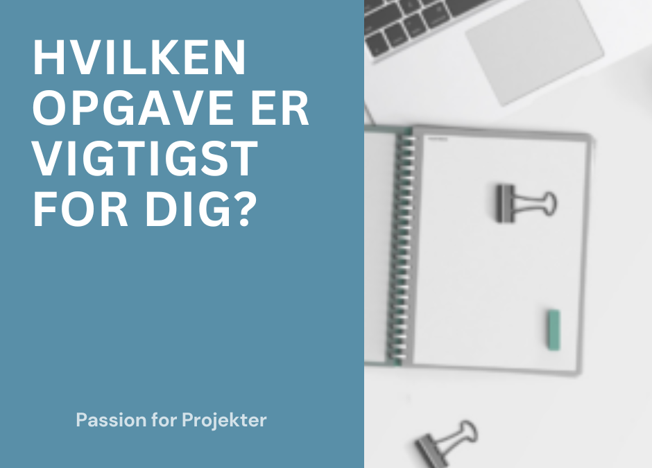 Hvilken opgave er vigtigst for dig?