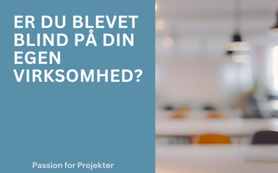 Er du blevet blind på din egen virksomhed?